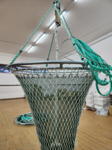 Big Landing Net Aufhängung C